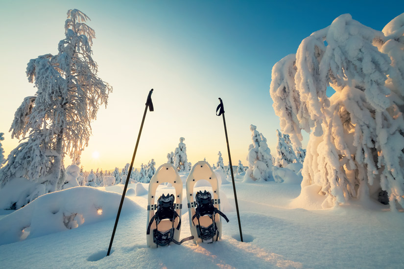 image Laponie suedoise hiver neige arbre ciel paysage raquettes 30 it_498743106